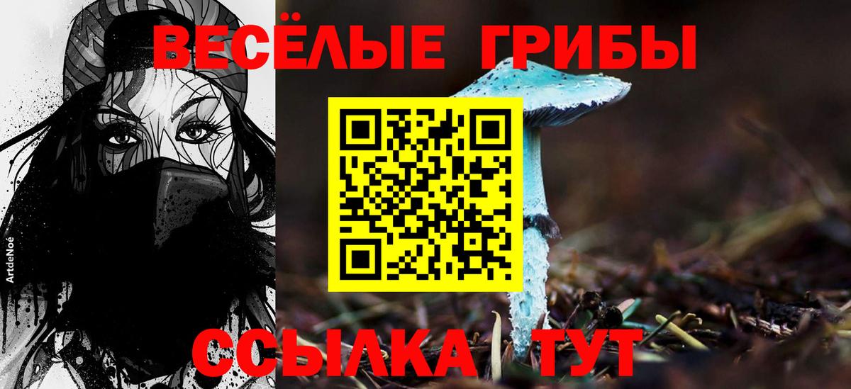 Псилоцибиновые грибы Magic Shrooms Заводоуковск
