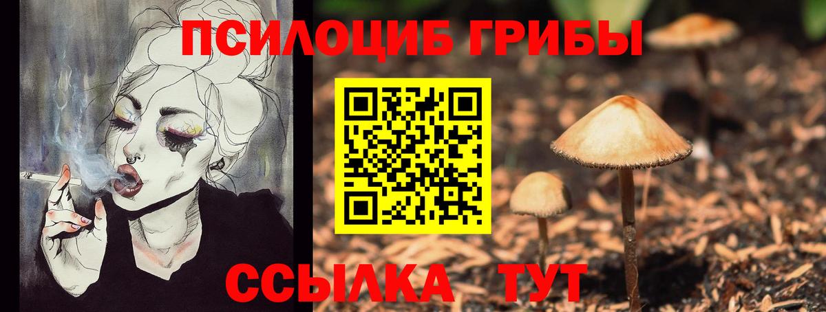 Псилоцибиновые грибы Psilocybe  Вход с VPN  Заводоуковск 